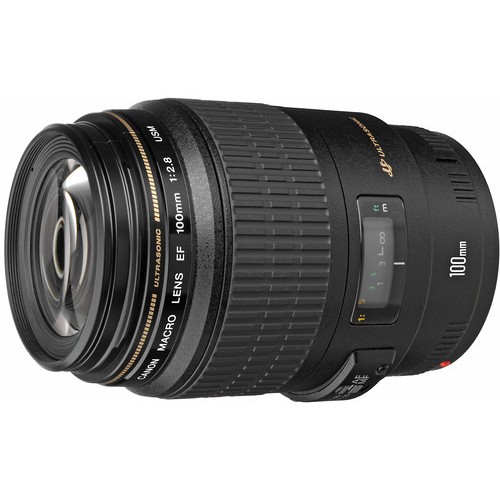 Review: Canon EF 100mm f/2.8 Macro USM Lens | Sidewalk Hustle