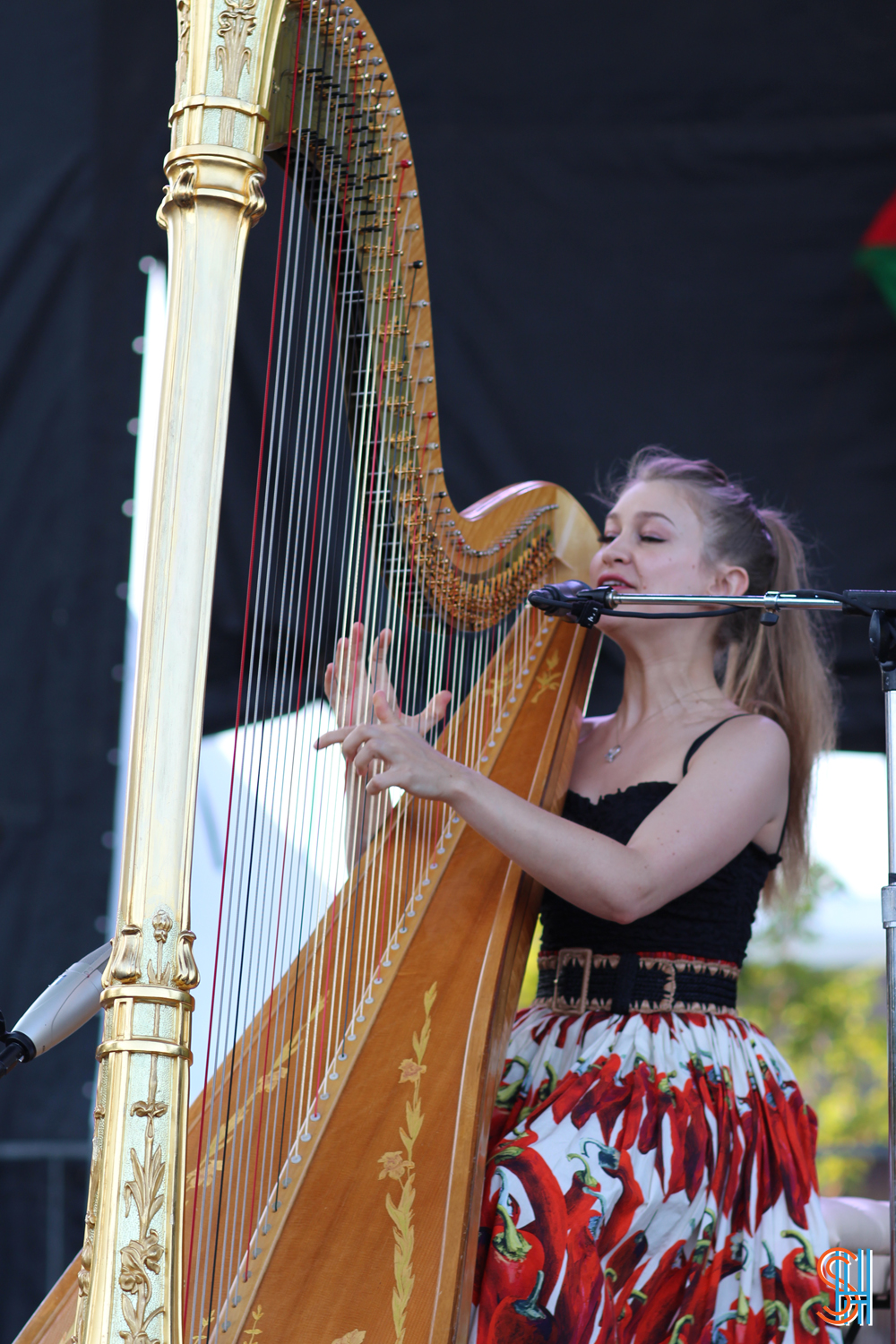 Joanna Newsom at Pitchfork Music Festival 2013 Sidewalk Hustle