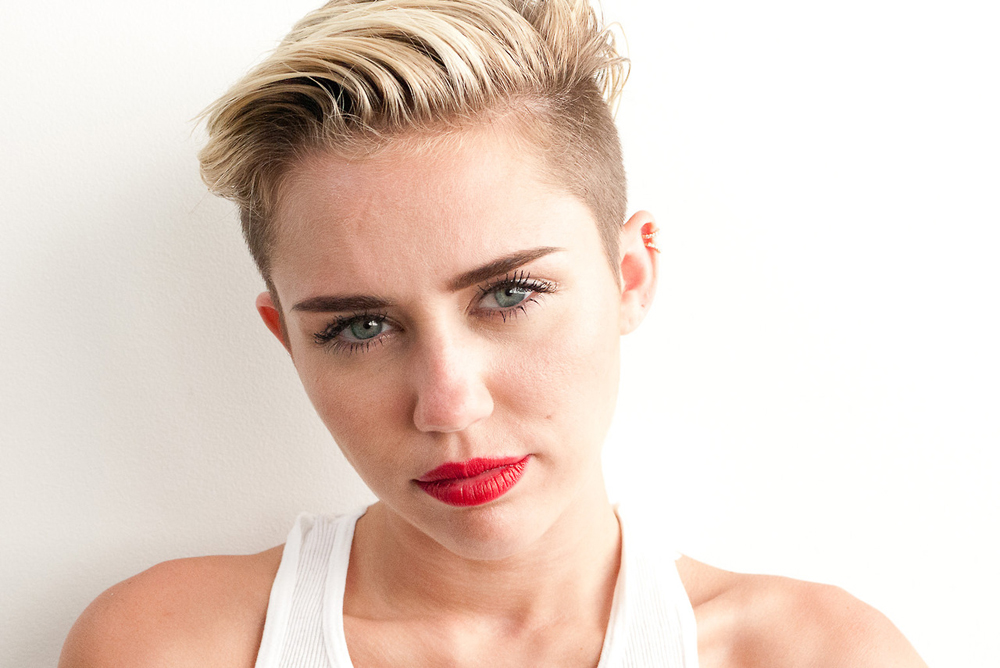 Miley cyrus terry richards