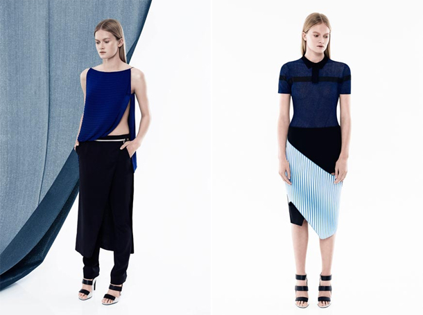 Dion Lee Resort 2015-2