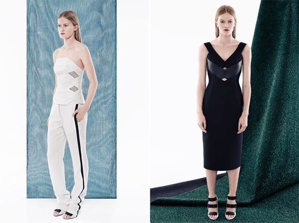 Dion Lee Resort 2015-4