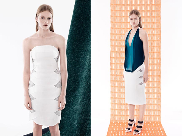 Dion Lee Resort 2015-5