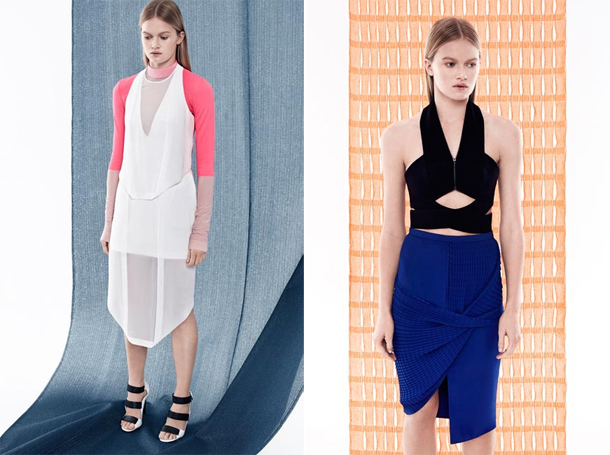 Dion Lee Resort 2015-6