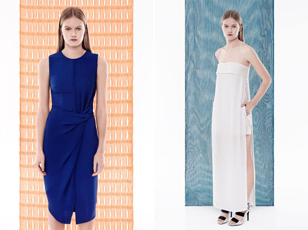 Dion Lee Resort 2015-7