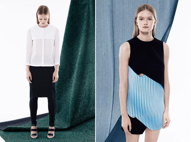 Dion Lee Resort 2015-8