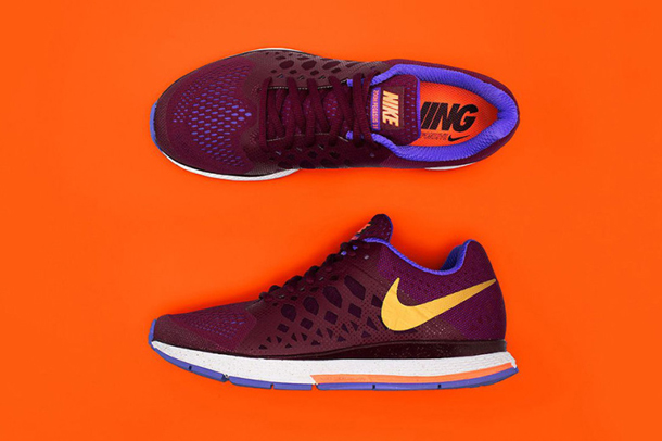 Nike 2014 Running Celebration Pack 5
