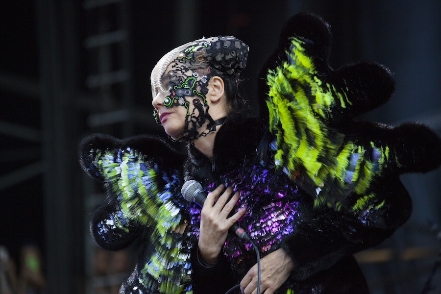 bjork_govball_40