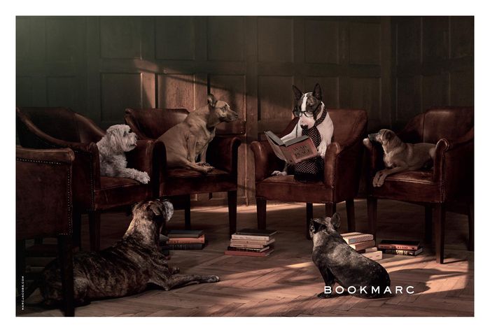 Bookmarc Fall 2015 Campaign