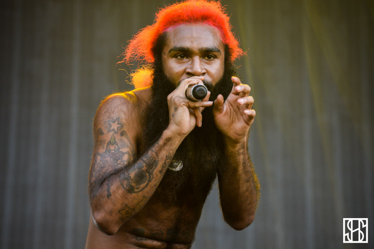 panorama-nyc-festival-flatbush-zombies-6