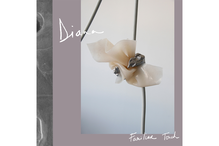 diana-album-art