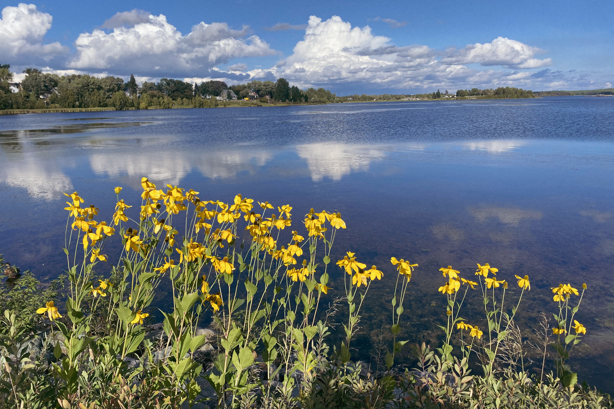 Rouyn-Noranda lake